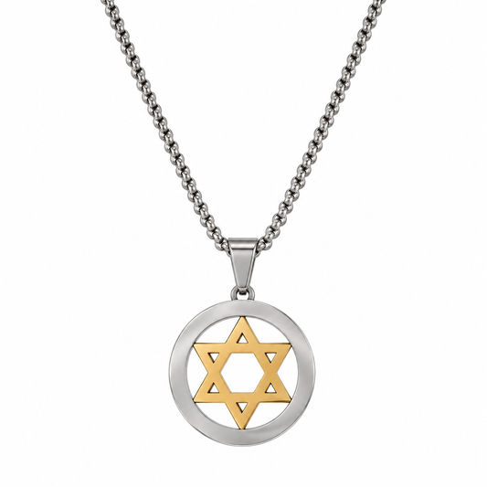 Two-tone stainless steel Star of David necklace with a gold-plated star inside a steel ring, on white