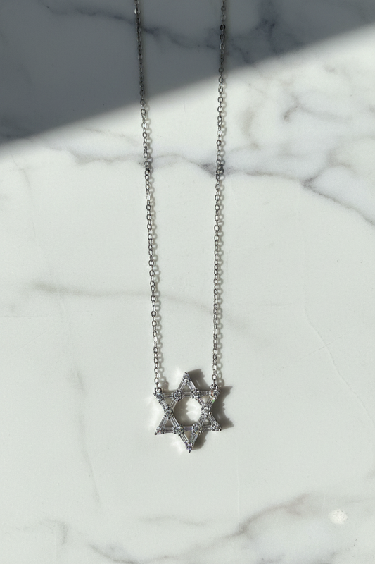 Petite Star of David Necklace